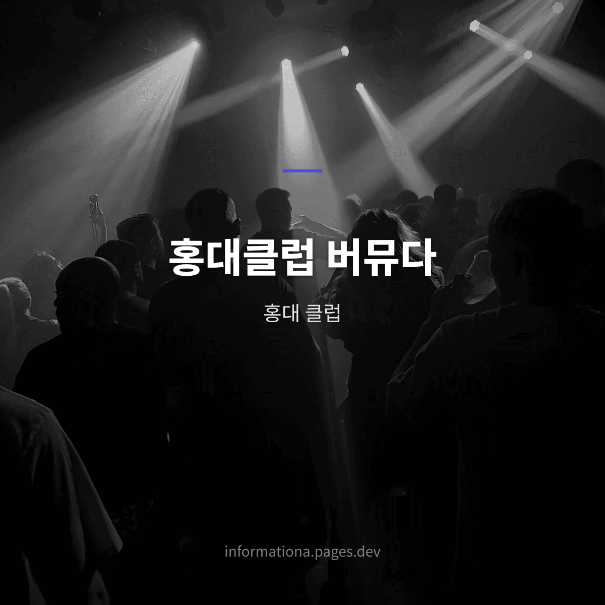 홍대클럽 버뮤다