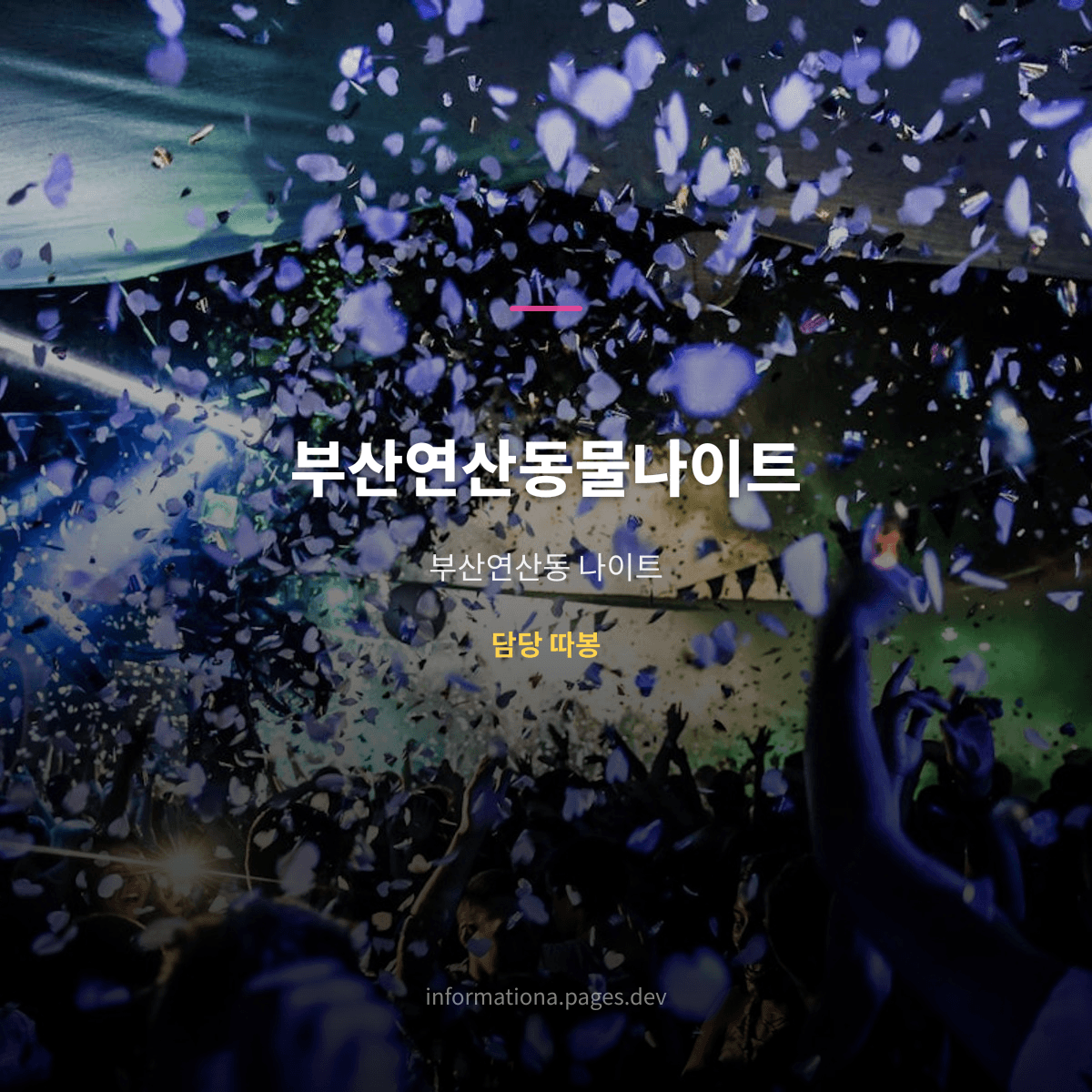 부산연산동물나이트