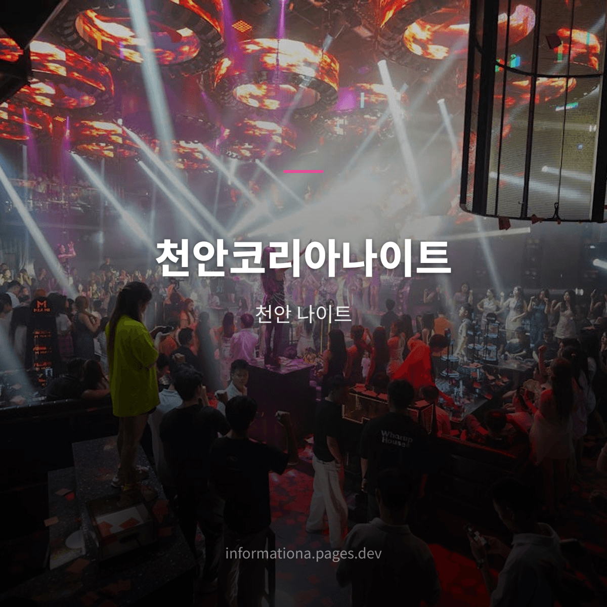 천안코리아나이트