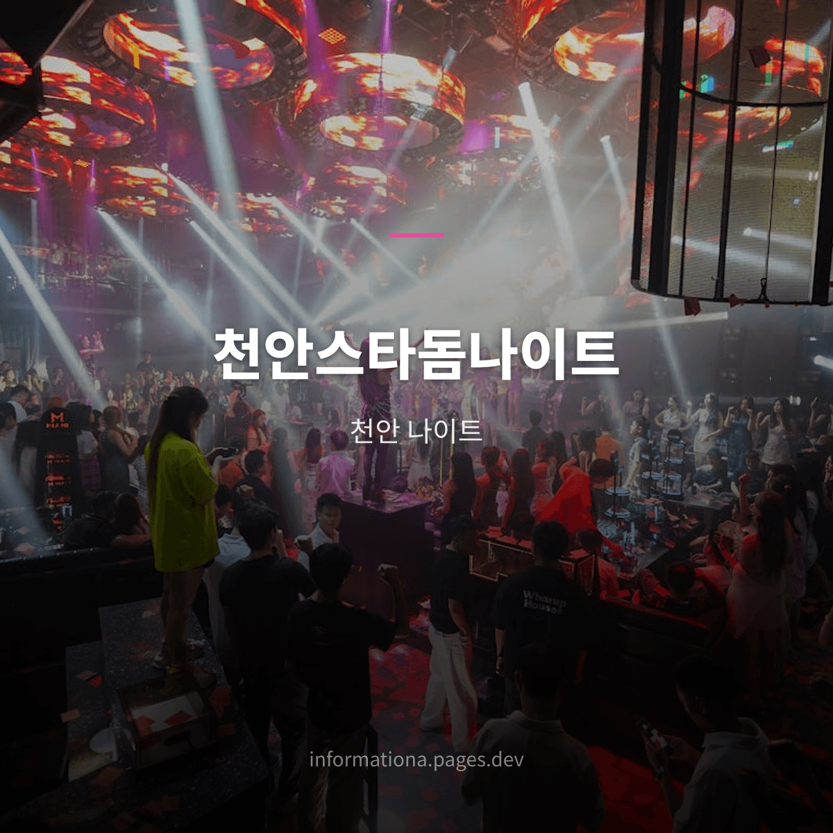 천안스타돔나이트