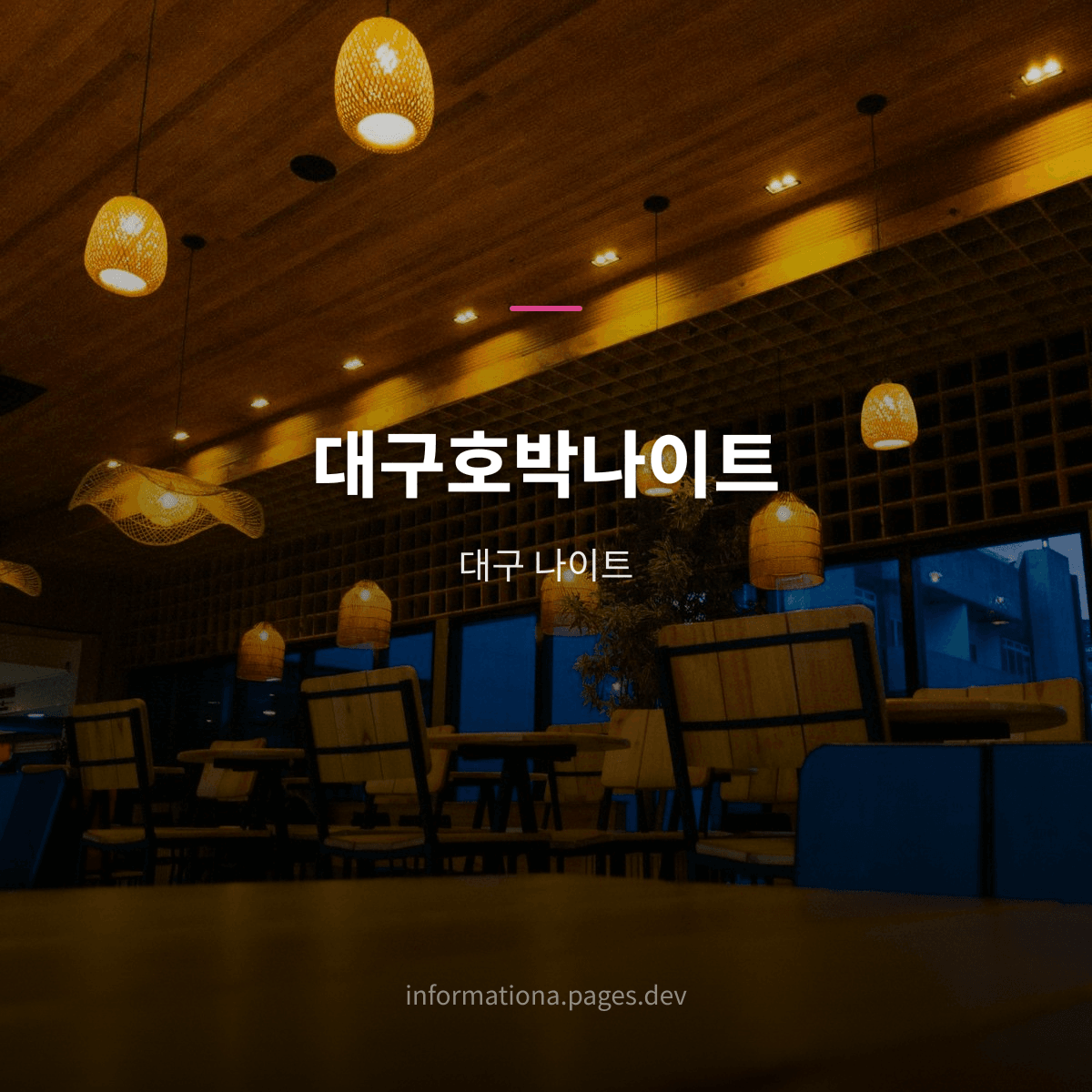 대구호박나이트