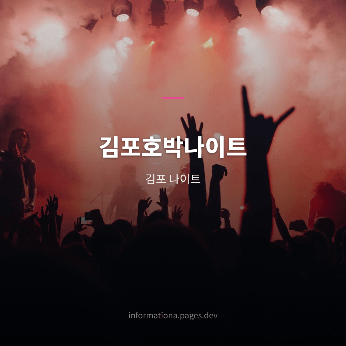 김포호박나이트