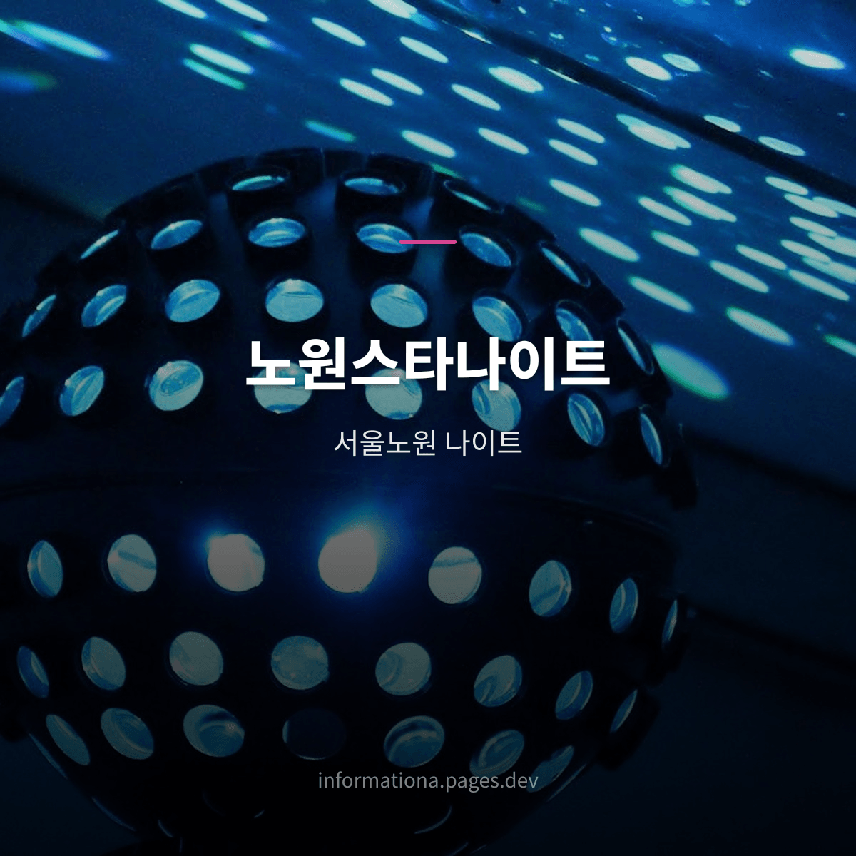 노원스타나이트